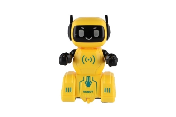 Wind-up Robot Toy