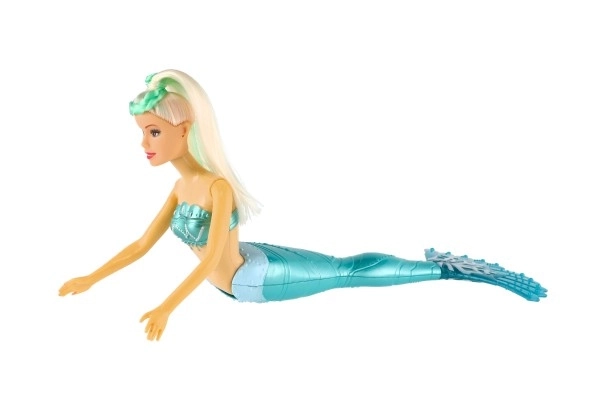 Mermaid Doll with Accessories