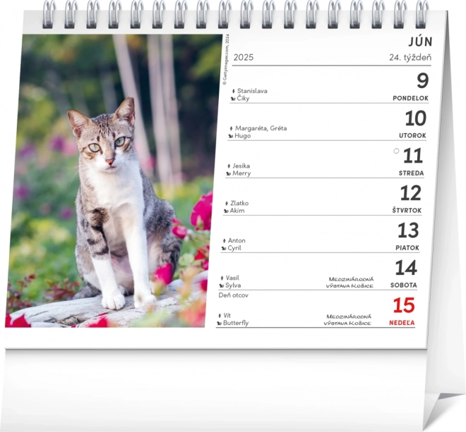 Table Calendar with Cats Names 2025