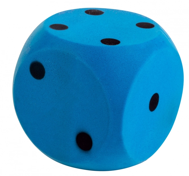 Soft Foam Learning Dice - Blue