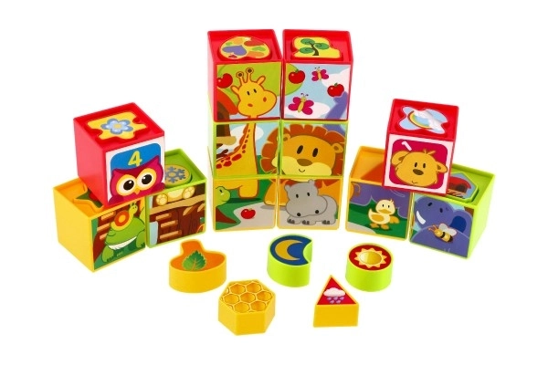 Cubes Shape Sorting Toy 12 Pieces