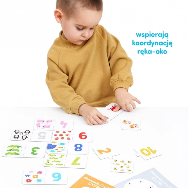 Akademia Numbers Learning Set