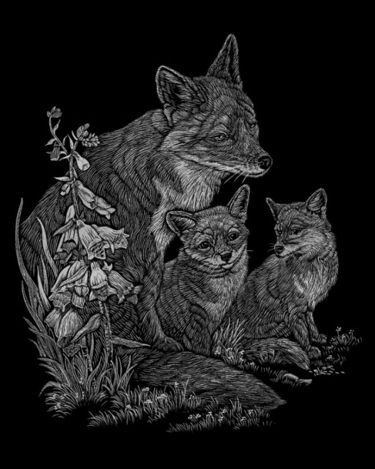 Wild Animals Of North America Scratch Art Block