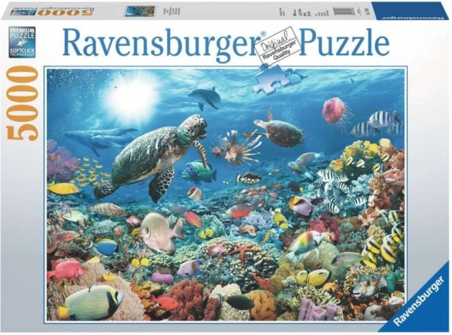 Design impegnativo per appassionati di puzzle