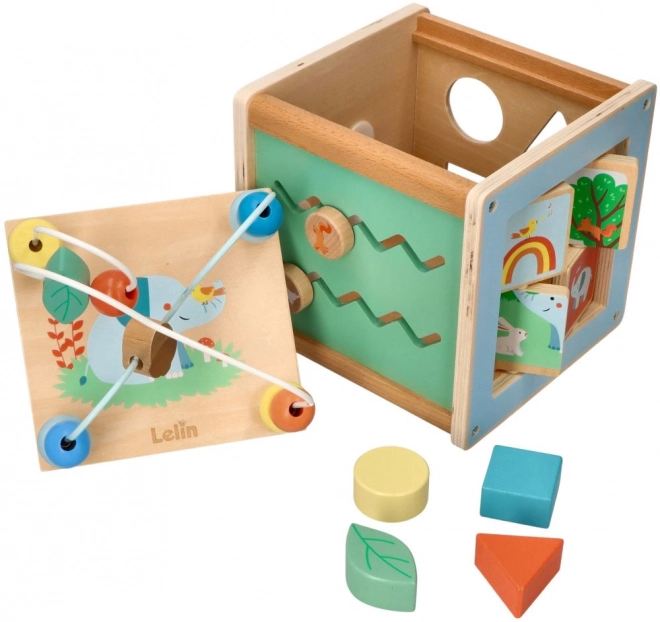 Activity Cube with Motor Loop