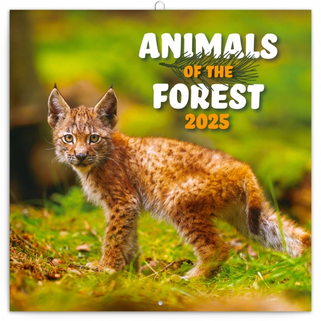 Forest Animals 2025 Wall Calendar