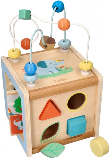 Activity Cube with Motor Loop