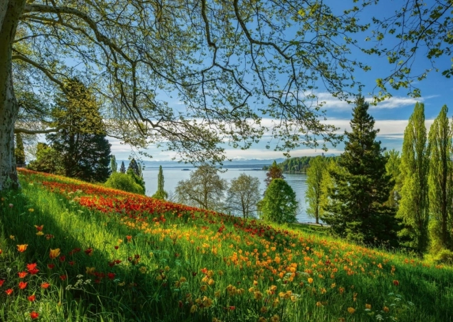 Schmidt Puzzle Blooming Tulips on Mainau Island 1000 Pieces