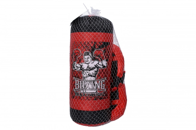 Punching Bag with Gloves