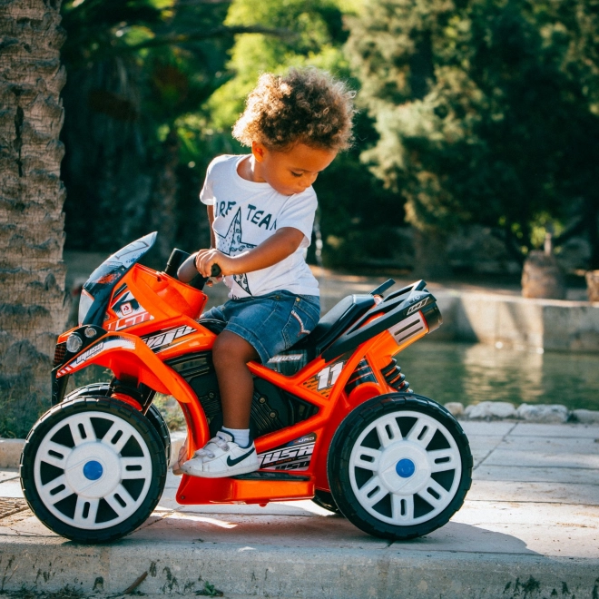 Electric Children's Quad Bike The Beast 6V by Injusa