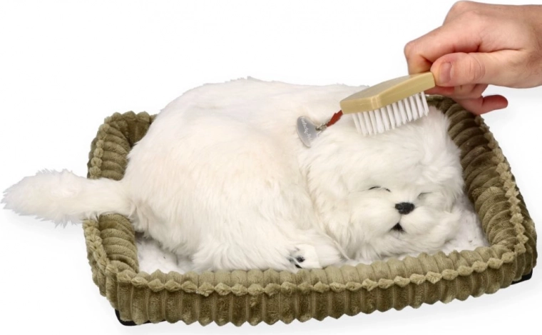 Care and cuddles like with a real dog