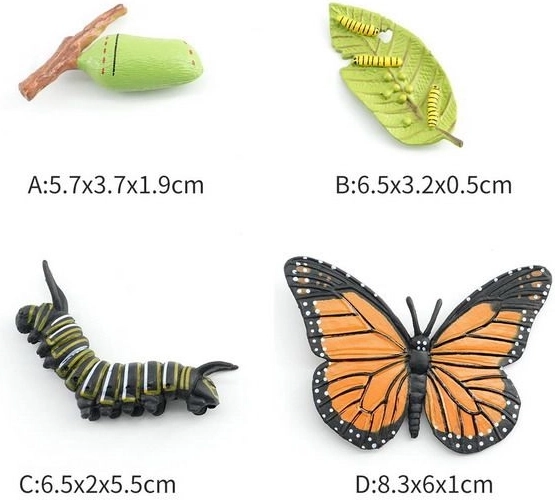 Butterfly Figurine in 4 Developmental Stages