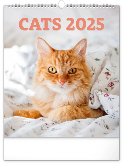 Wall Calendar Cats 2025