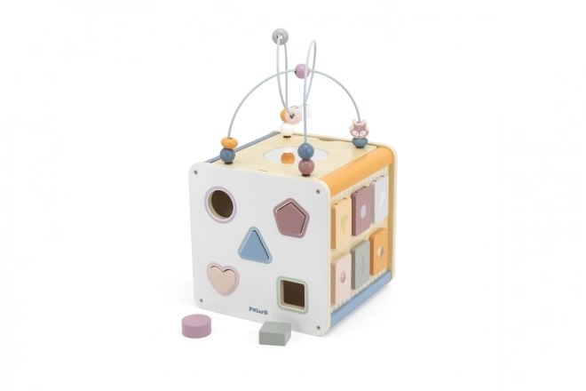 8-in-1 Wooden Activity Cube