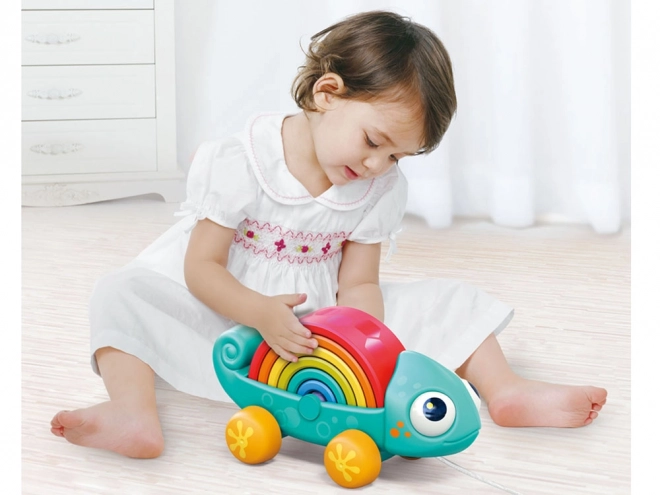 Rainbow Chameleon Montessori Puzzle