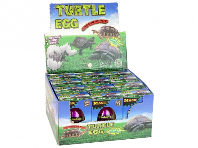 Hatching Magic Turtle Egg Growing Toy