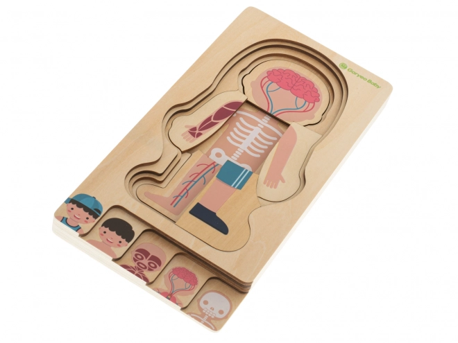 Wooden Layered Human Body Puzzle Montessori Boy