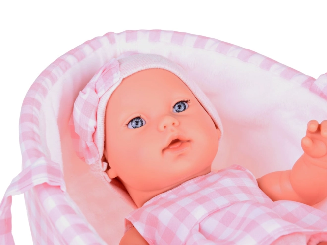 Soft carry basket