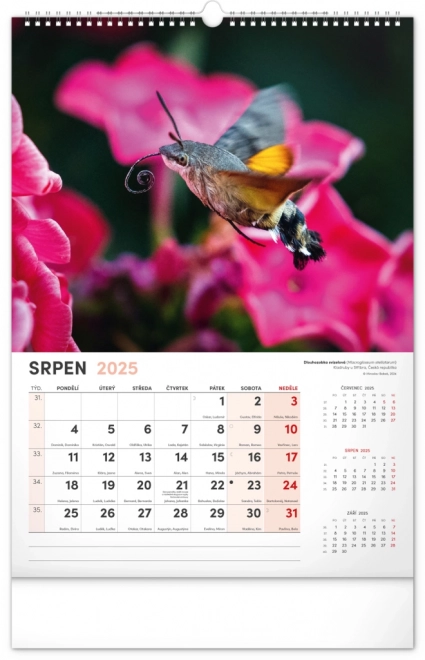 Notique Wall Calendar Most Interesting Animals 2025