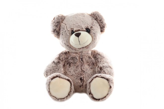 Eco-friendly Plush Bear