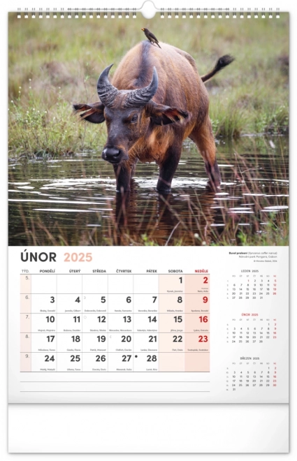 Notique Wall Calendar Most Interesting Animals 2025