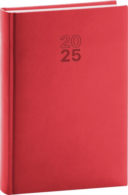 Notique Daily Planner Aprint 2025 Red