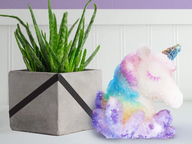 Magical Unicorn Crystal Growing Kit with Paint