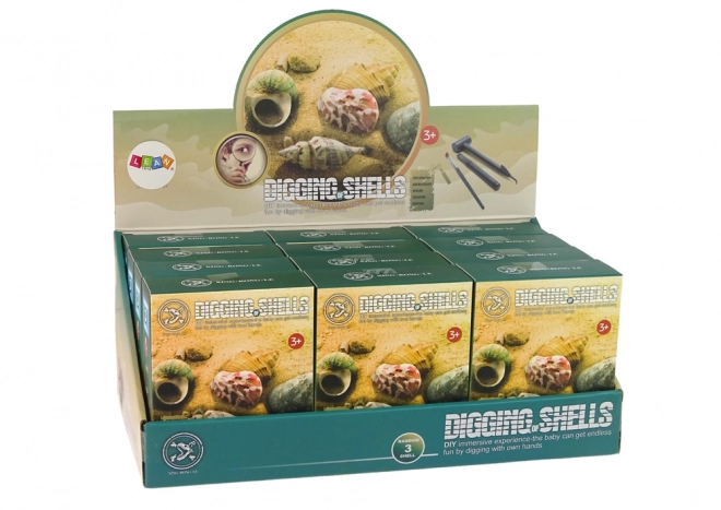 Shell Fossil Excavation Surprise Set