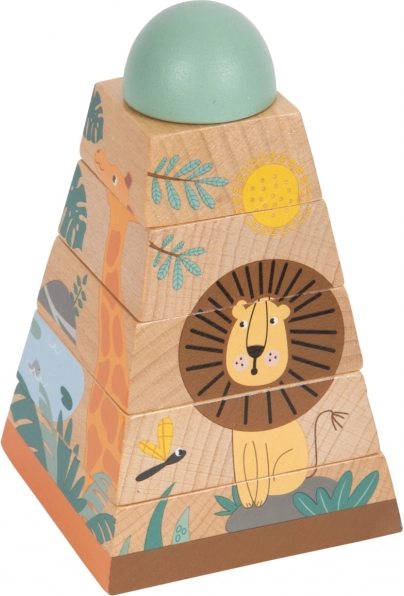 Friendly Safari Design