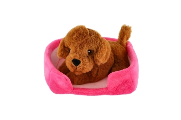 Plush Pet With Bed