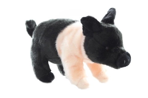 Plush Pig 25cm