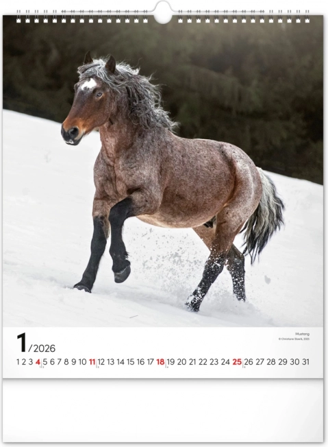Vægkalender Heste 2026