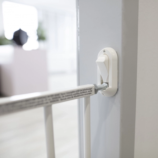 Expandable Wall-Mounted Baby Gate