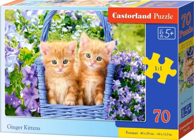 Ginger Kittens Puzzle for Kids