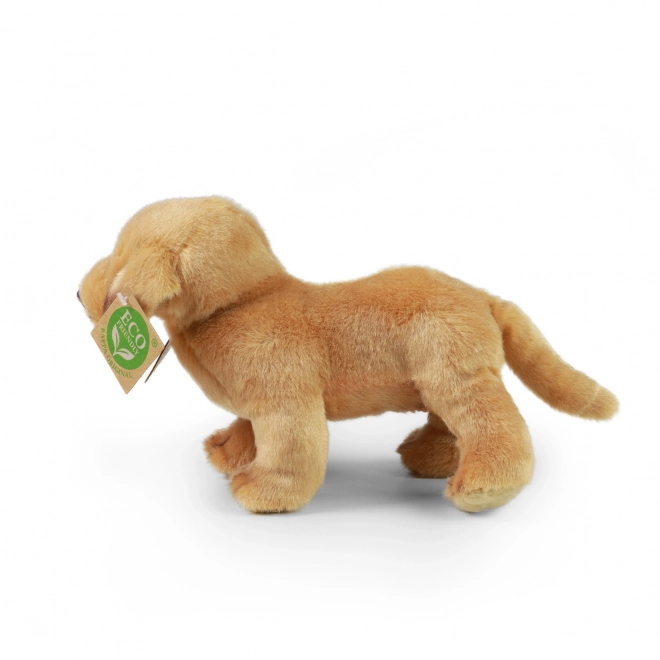 Eco-friendly standing plush labrador 20 cm