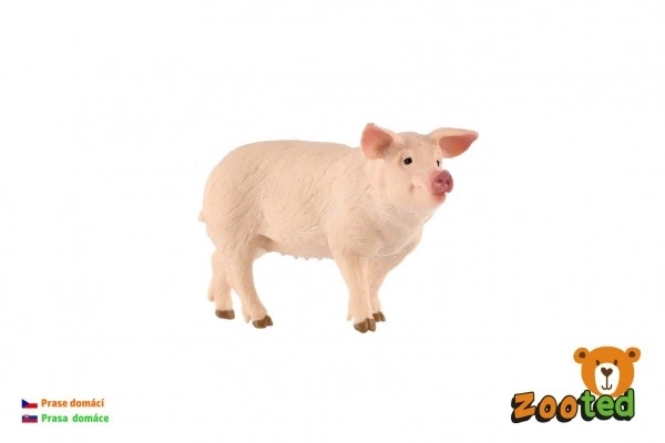 Domesticated Pig Figurine