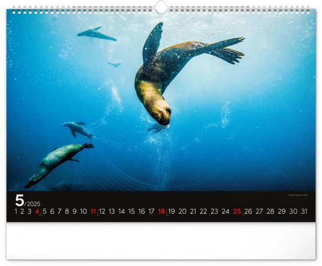 Wall Calendar Ocean 2025