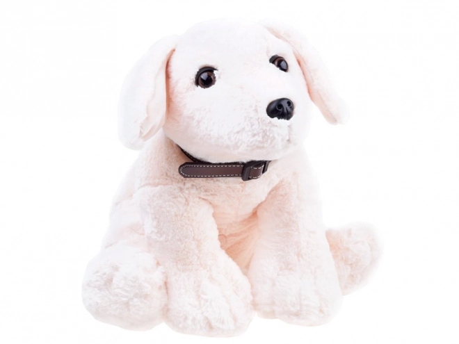 Plush Puppy Soft Toy