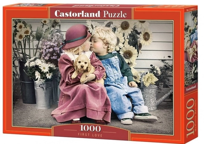 Castorland Puzzle First Love 1000 Pieces