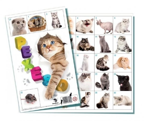 Memory Game Cats