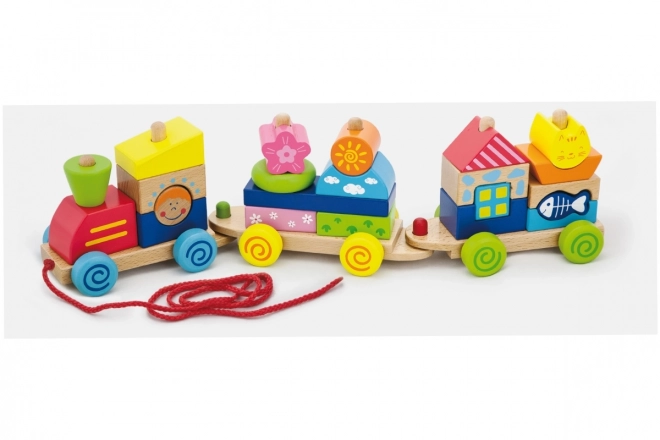 Wooden Train Pull Toy and Puzzle