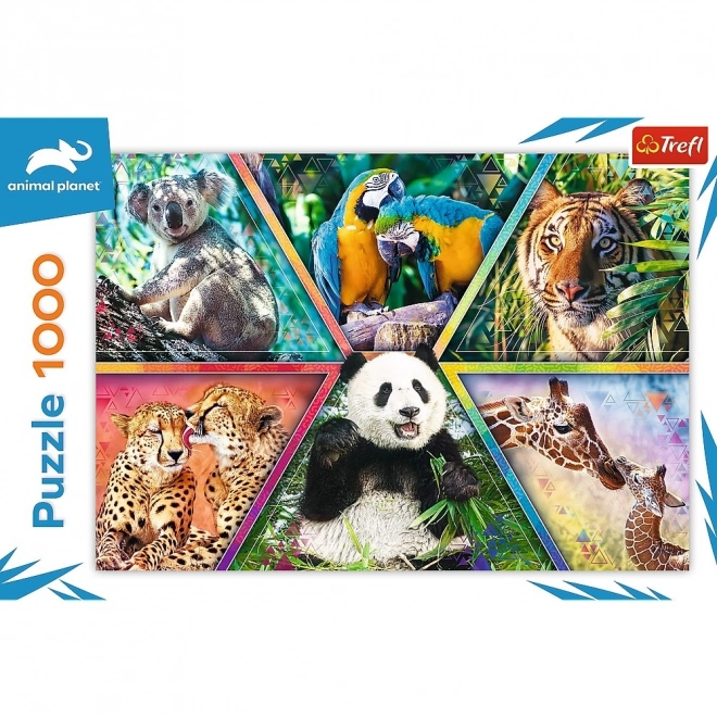 Animal Planet: Kingdom of Animals Puzzle 1000 pieces