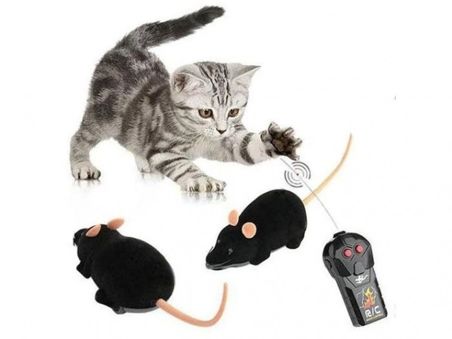 Remote Controlled Mouse with Remote