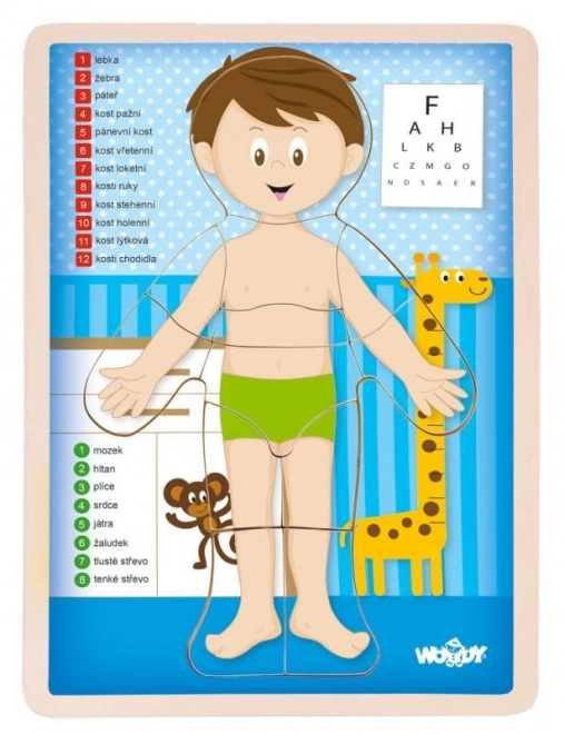 Human Body Puzzle for Kids