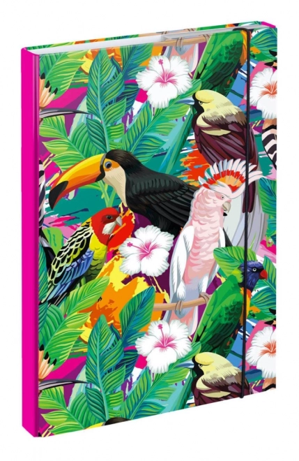 School Folder A4 with Toucan Design