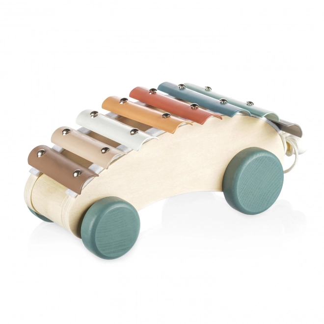 Wooden Pull-Along Xylophone for Kids