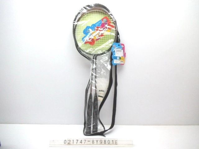 Badminton Set