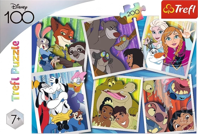 Disney Characters 100th Anniversary Puzzle