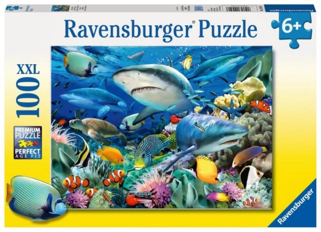 Shark Reef Puzzle 100 Pieces