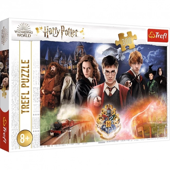 Mysterious Harry Potter 300 Piece Puzzle